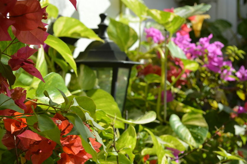 Casa Mary Hotell Cartagena Exteriör bild